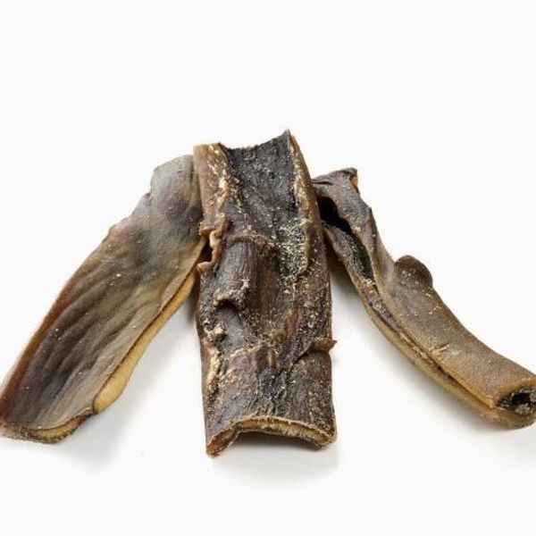 Hovedbilde Camel scalp - kamelhud