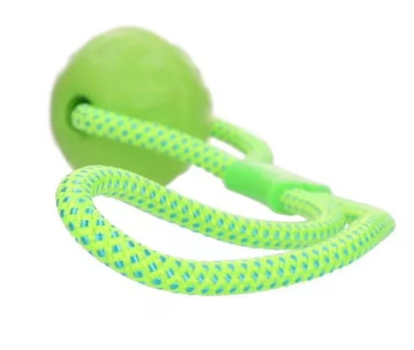 Hovedbilde Dog Comets Vortex Loop