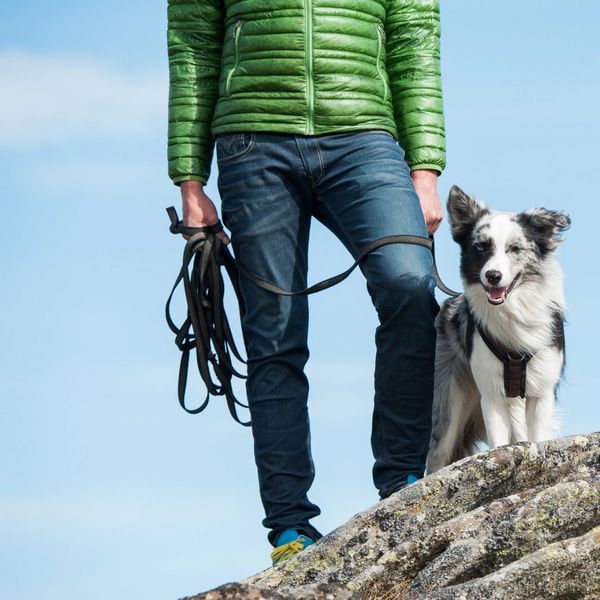 På tur med hunden på fjellet med langline