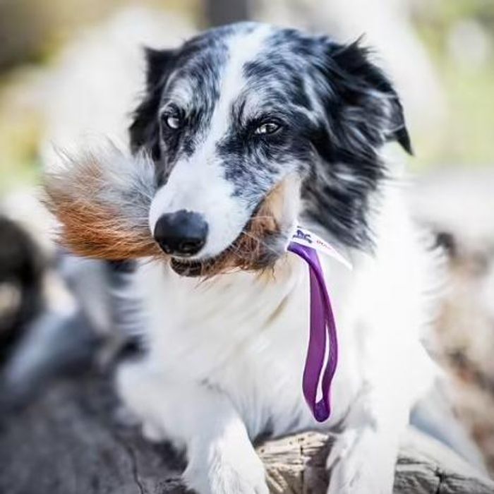 Doggie-Zen Revepels med håndtak, lommeformat
