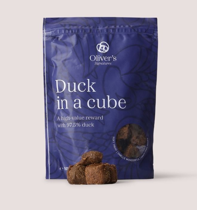 Oliver's Signature Duck in a Cube